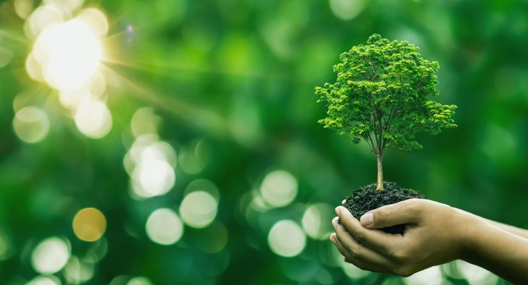 Tree planting on volunteer family’s hands for eco friendly and c